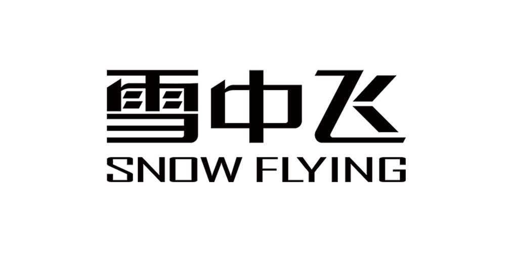 雪中飞